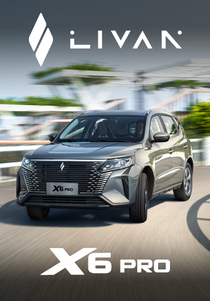 Livan X6 Pro